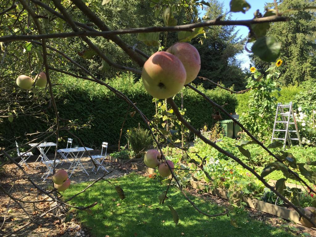 Bed & Breakfast Villa Alma Βέρνη Εξωτερικό φωτογραφία